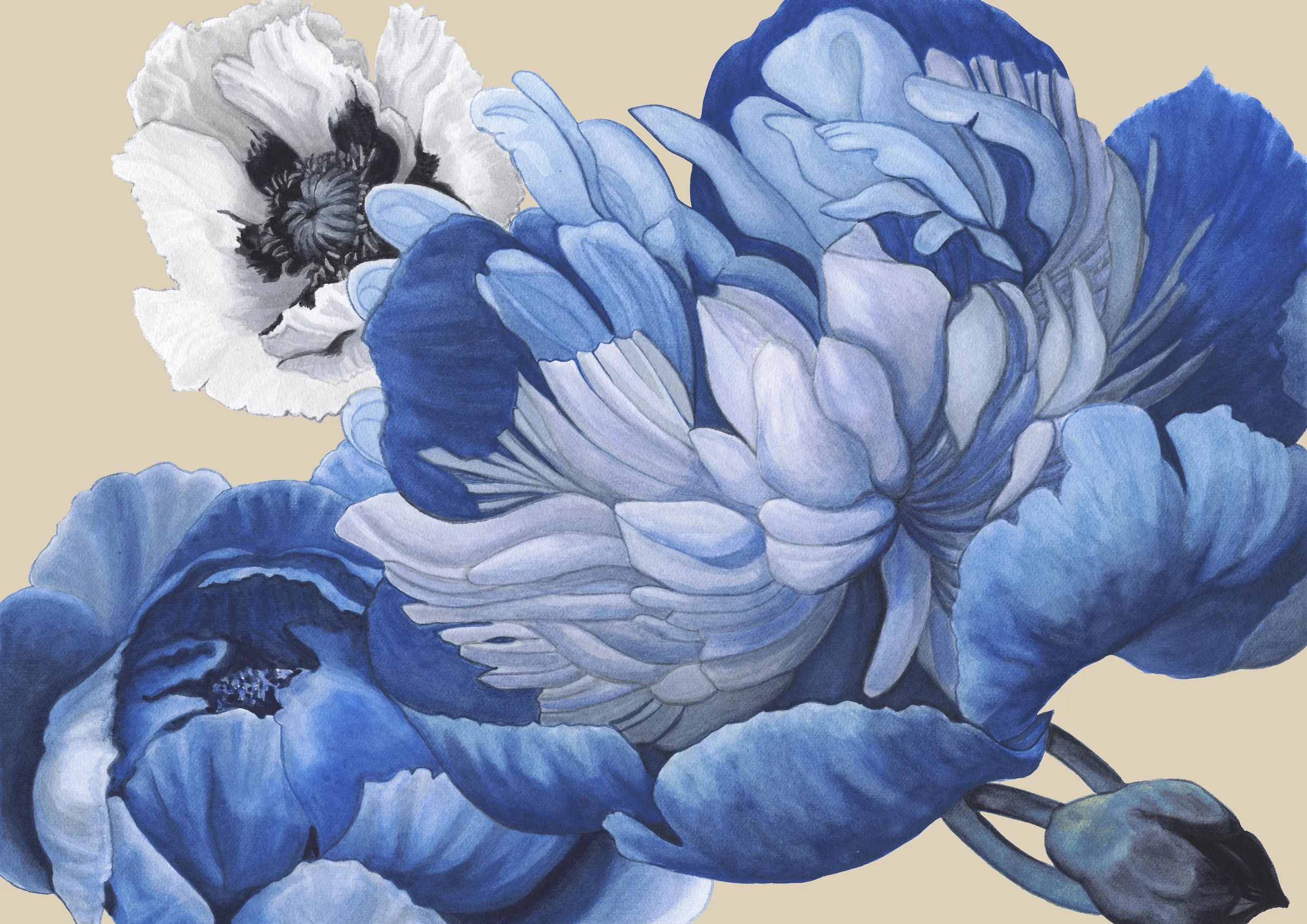 Cindy Pretorius Collection CP07 Shades of blue and white peonies with cream background print