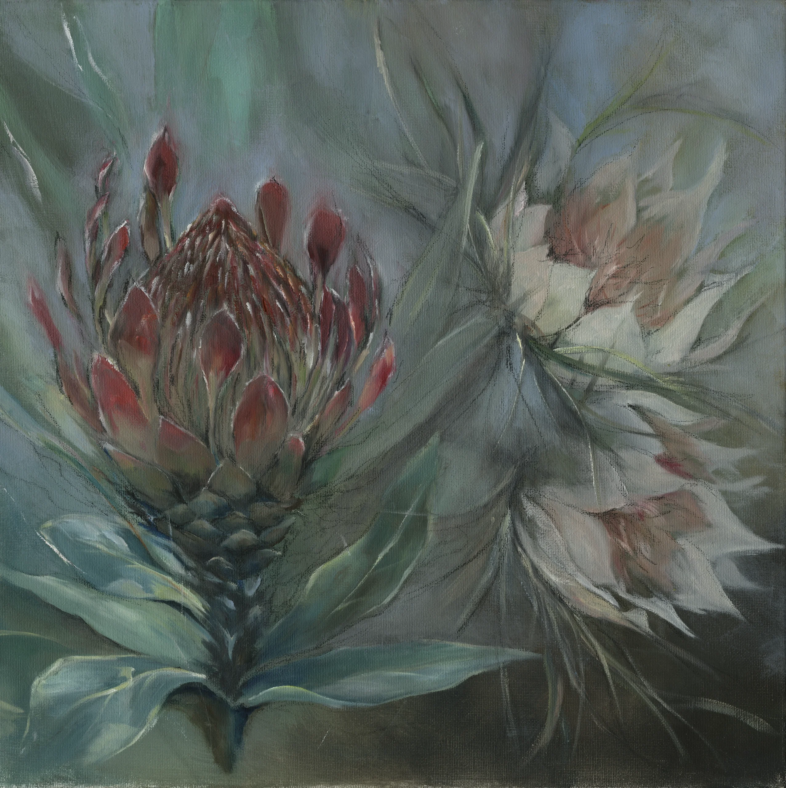 Louise Ynclan Collection LY01 Protea print, Orms Printroom