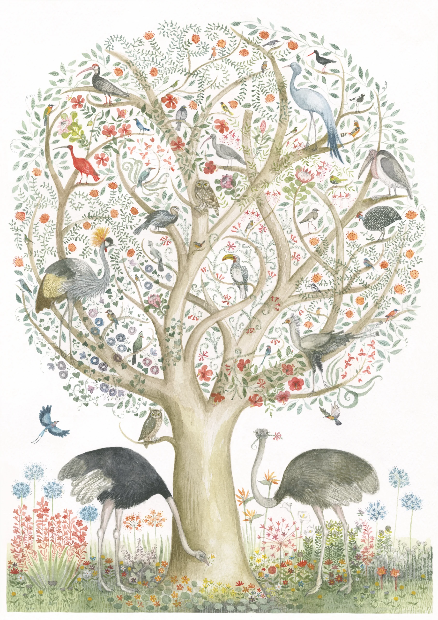 Maria Baumann Collection MB03 South African Bird Tree Print, Orms Printroom