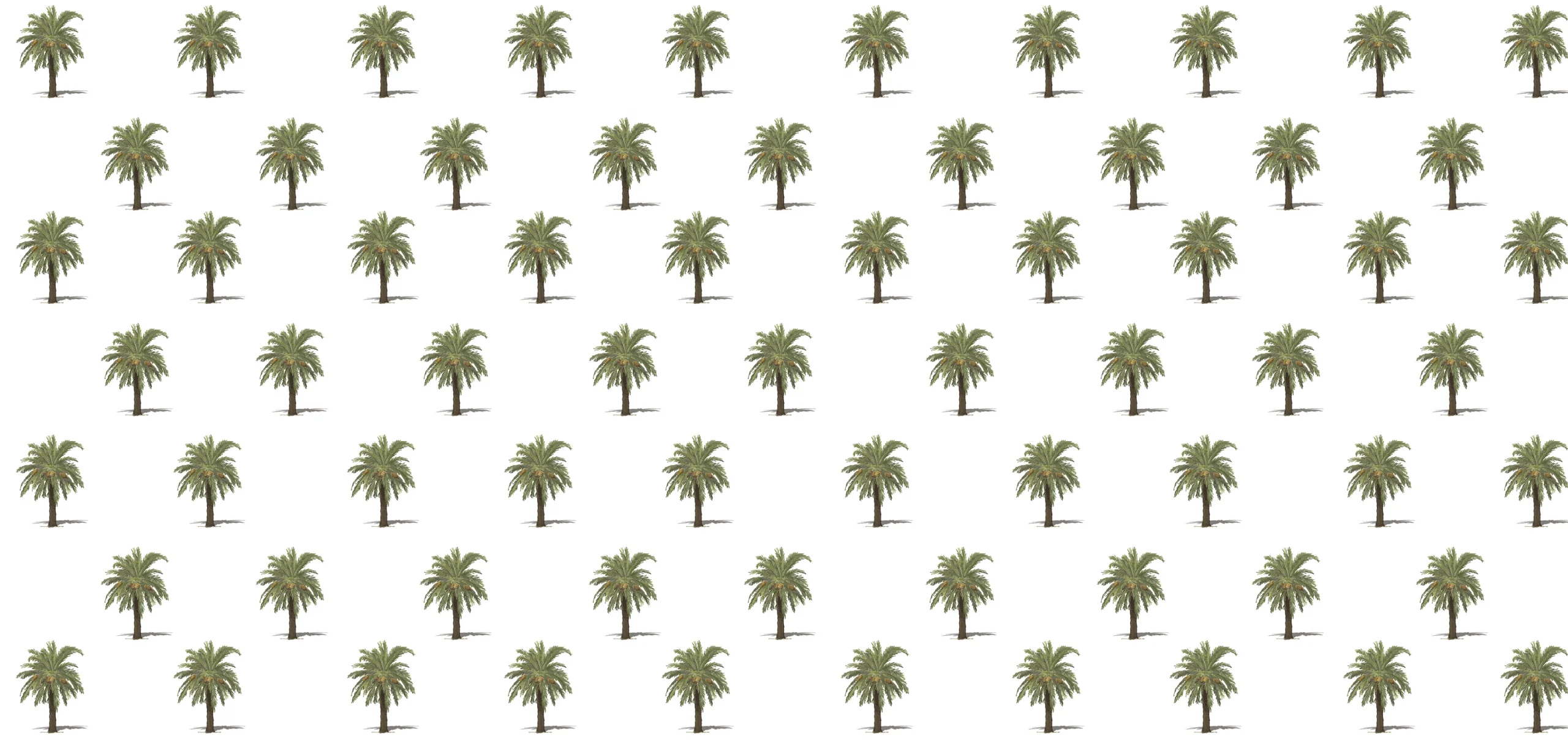 Sarah Allderman Collection SA14 Palm trees on white print, Orms Print Room