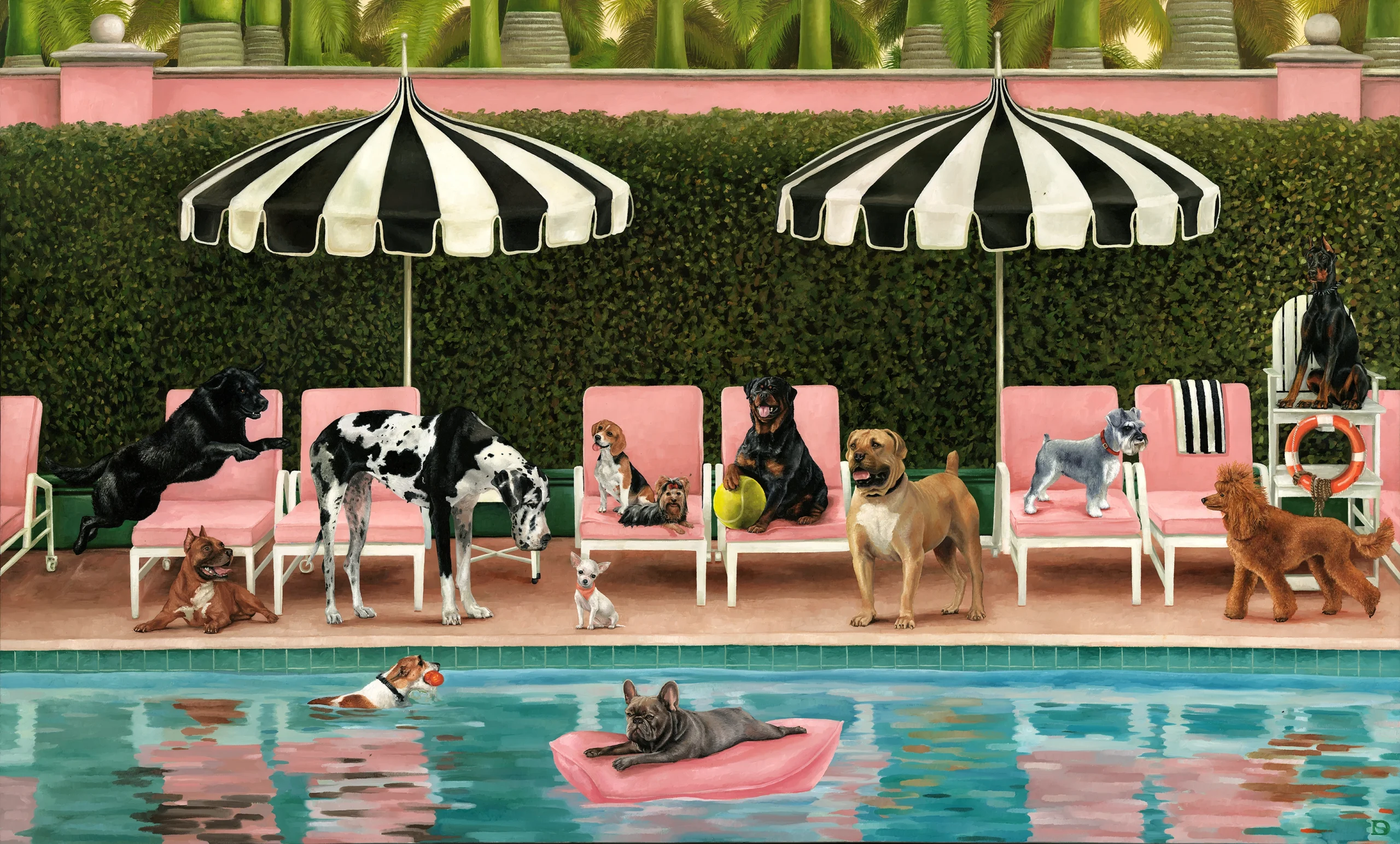 Whimsical Collection WC14 Dogs in a pool print, Orms Print Room